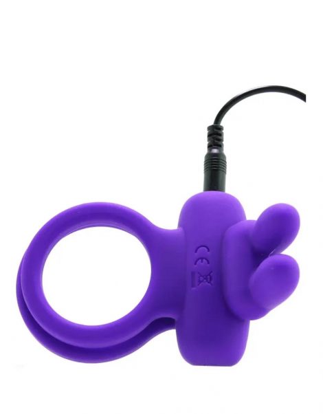 rabbit_ring_4